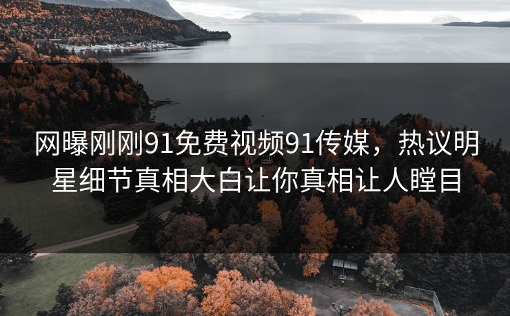 网曝刚刚91免费视频91传媒，热议明星细节真相大白让你真相让人瞠目