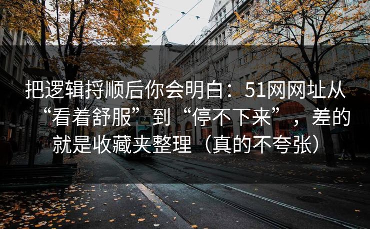 把逻辑捋顺后你会明白：51网网址从“看着舒服”到“停不下来”，差的就是收藏夹整理（真的不夸张）
