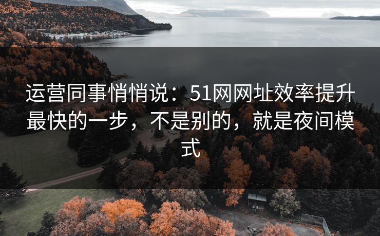 运营同事悄悄说:51网网址效率提升最快的一步,不是别的,就是夜间模式 运营同事悄悄说:51网网址效率提升最快的一步,不是别的,就是夜间模式